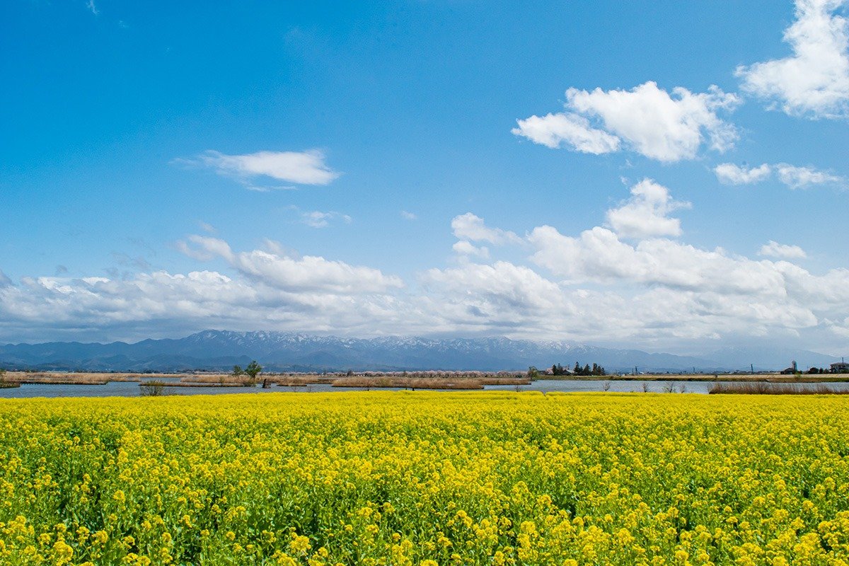 🏞️ 물의 역 뷰 후쿠시마가타 이미지 8